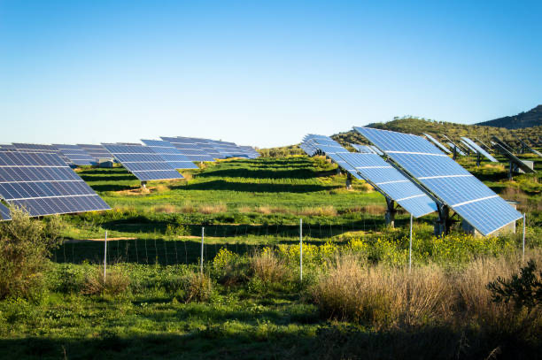 Champ de panneaux solaires en Andalousie