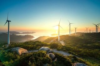 🌳 Donner du sens à ses investissements avec les énergies renouvelables
